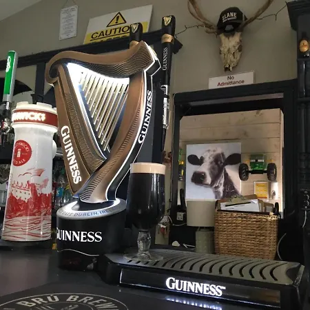 Grangegeeth ゲストハウス 3*