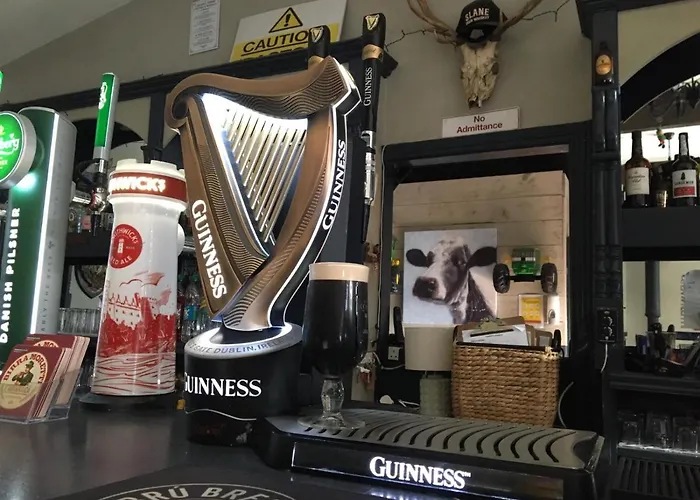 Grangegeeth בית הארחה 3*